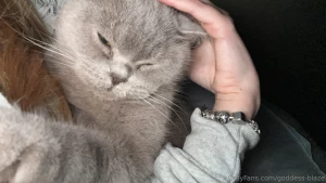 Say hello to my kitty part 6