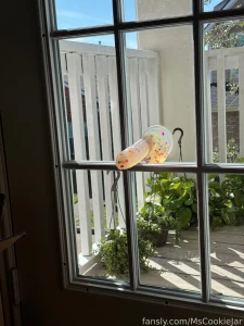 I think my neighbor caught me fucking my dildo on my balcony door
