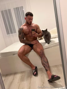 I love cats btw