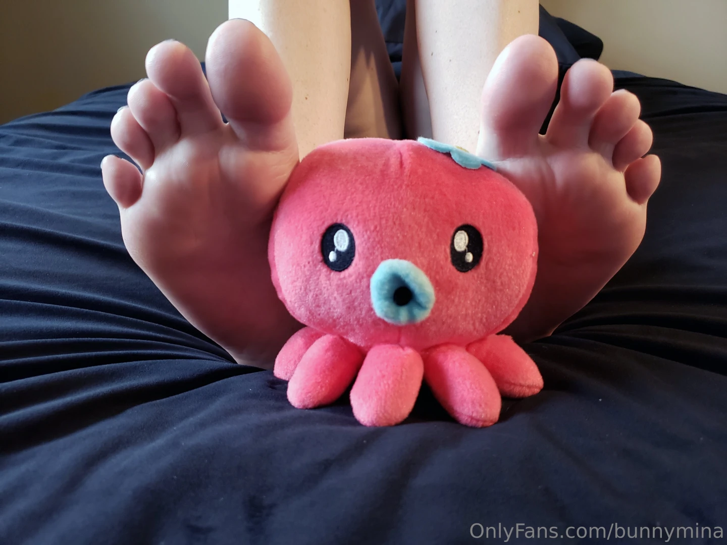 I love my little octo plushie look at all the fun we had together 