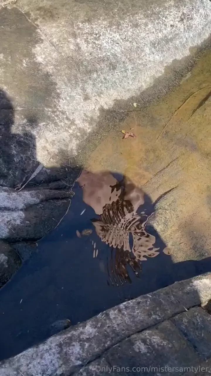 Dogs trying their best to ruin the video haha 