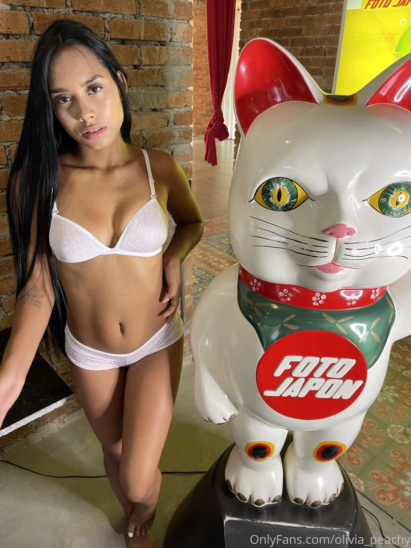 Which cat would you choose 