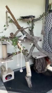 There s nothing more attractive to me than seeing my partner truly