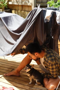 I love animal especially dogs they are loyal and cute but i need to part 1