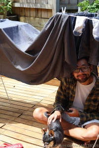 I love animal especially dogs they are loyal and cute but i need to