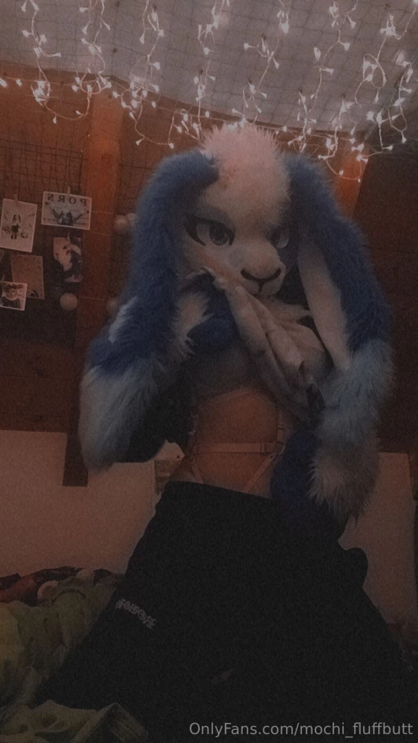 Look at my pretty harness uwu 