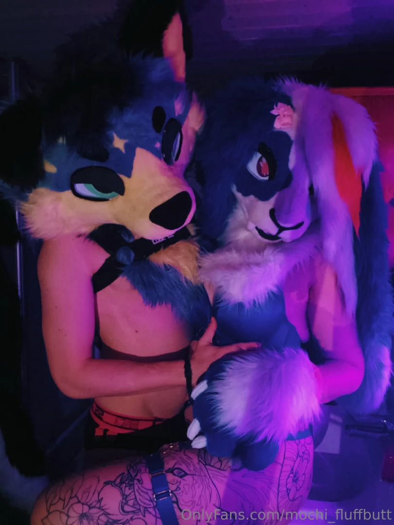 Wana touch the bunny echo_doggo 