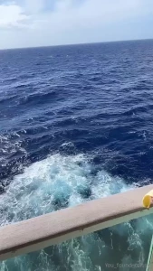 I enjoy shoving things down my throat right before a good cardio