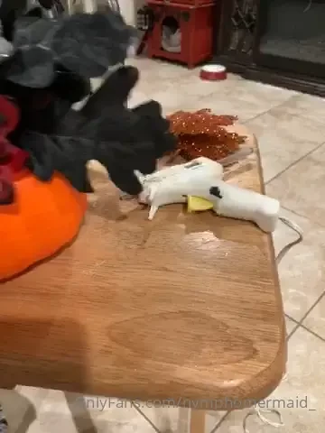 I hurt my leg 