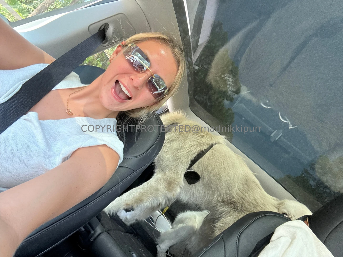 I rescued two giant great pyrnees dogs they are sisters say hi to part 1 