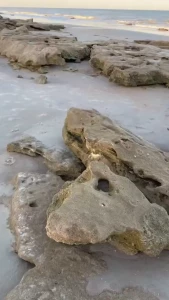 This was from today i went to explore a new beach with really cool