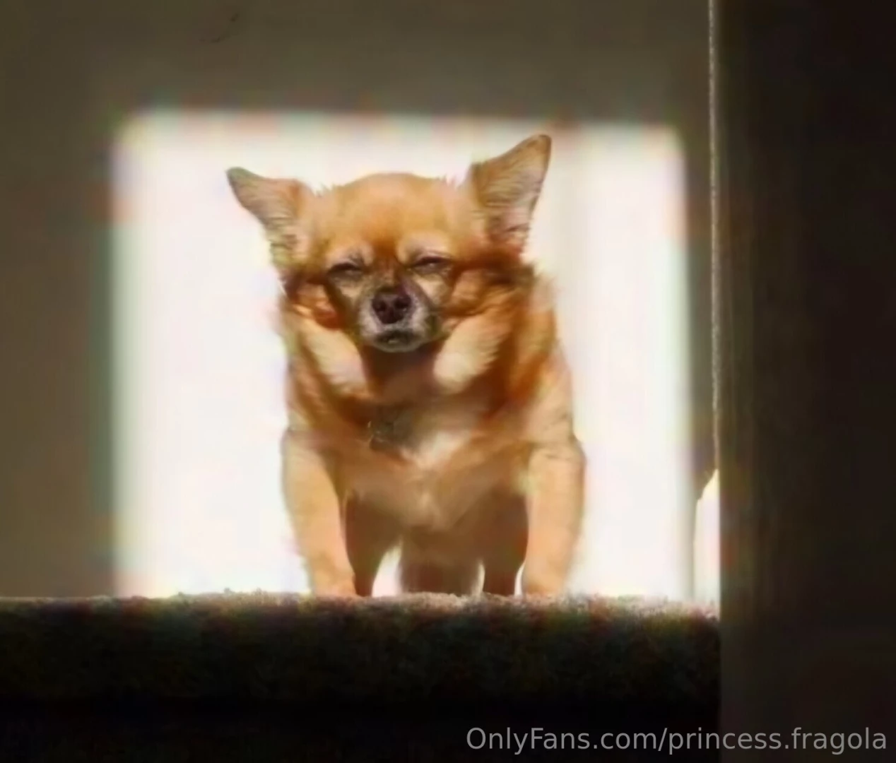 What about a cozy gaming night with me part 2 