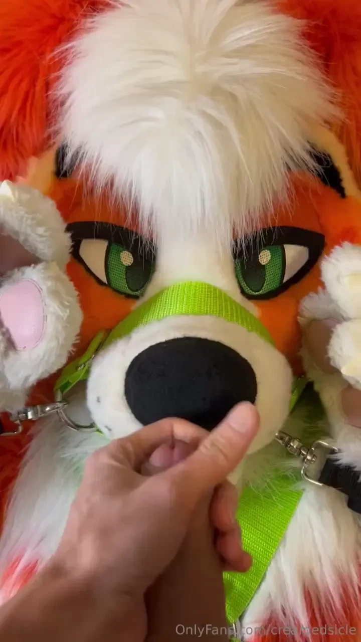 Unable to use his hands the yote gets to take advantage of that face 