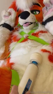 Bound and vibed