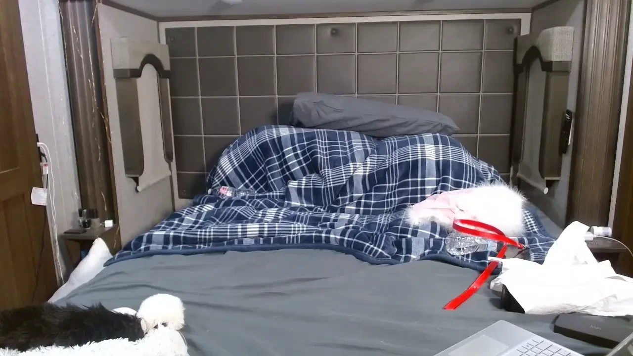 Stream started at 01 16 2025 04 23 am wednesday live with the tail 