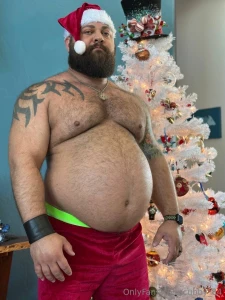 Happy holidays santa ate all the cookies part 5