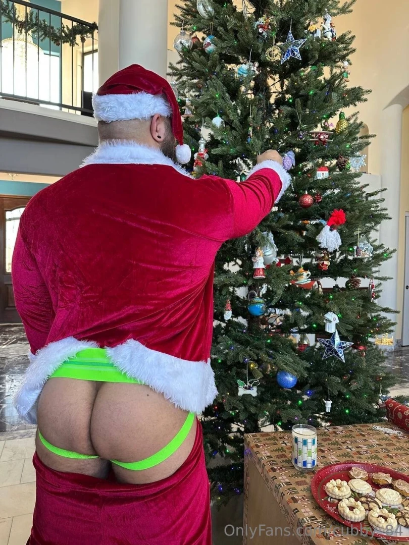 Happy holidays santa ate all the cookies part 3 