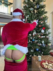 Happy holidays santa ate all the cookies part 3