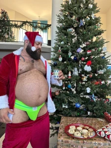 Happy holidays santa ate all the cookies part 4