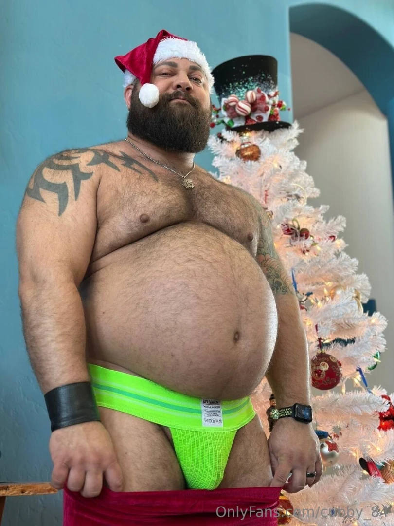 Happy holidays santa ate all the cookies part 8 