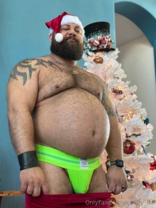 Happy holidays santa ate all the cookies part 8