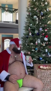 Happy holidays santa ate all the cookies