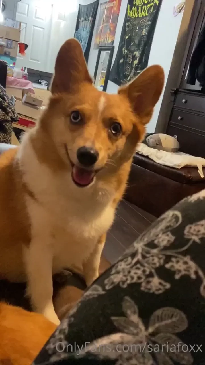 Hooman why you no share pizza 