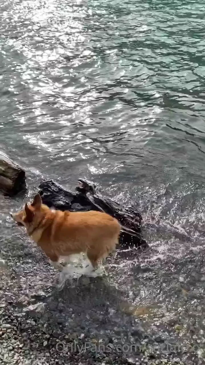 Went for a day trip road trip yesterday saw glaciers beautiful glacier 