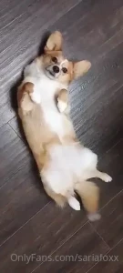 Belly rubs part 3