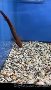 So many cool fish