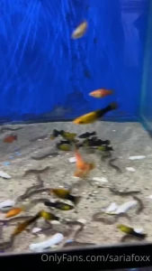 So many cool fish part 1