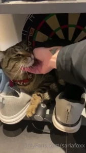 Such a sweet kitty cat