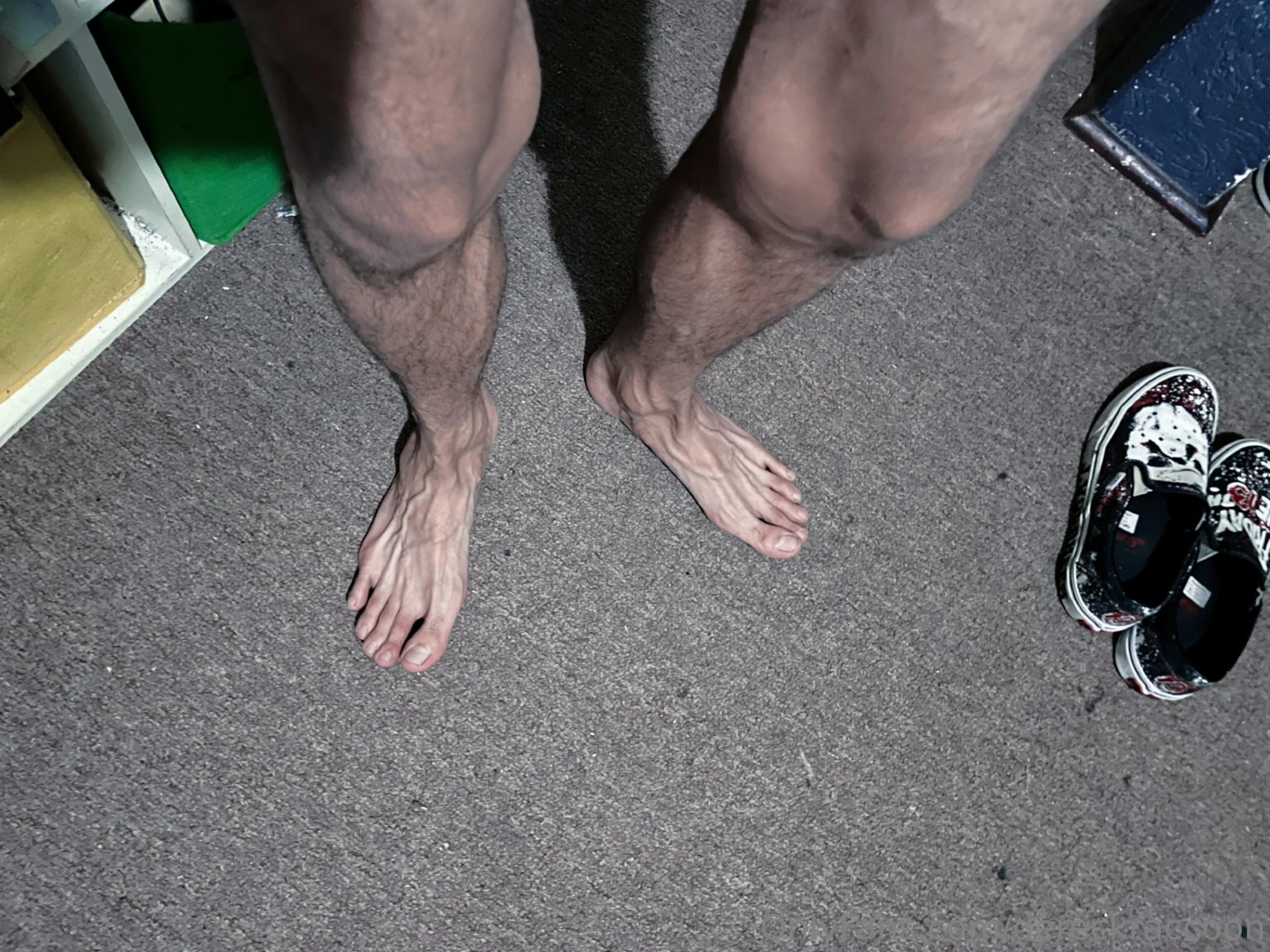 Dereckraccoon part 2 