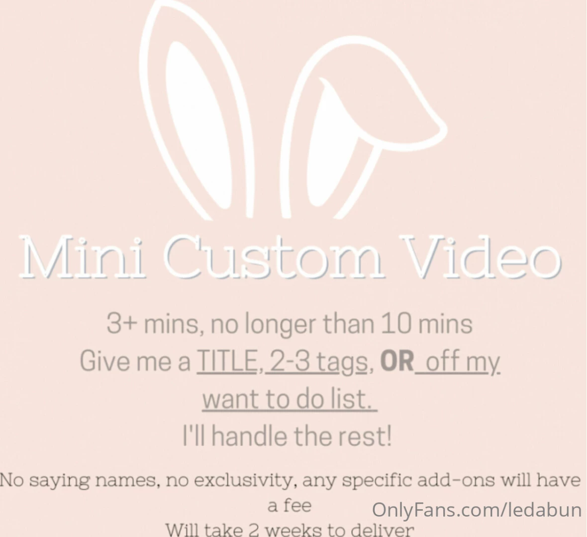 Mini customs a cheaper alternative to regular customs just without 