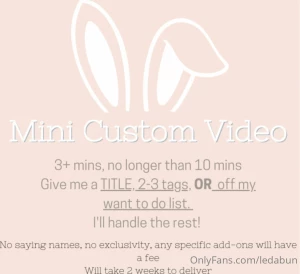 Mini customs a cheaper alternative to regular customs just without