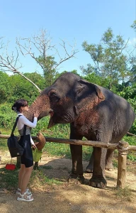 Every time i see elephants i go crazy they are so cute and kawaii i part 3