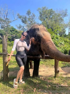 Every time i see elephants i go crazy they are so cute and kawaii i