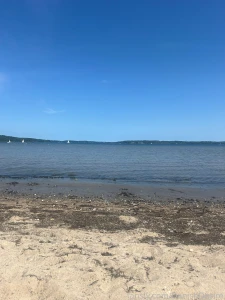 Spend the day at the beach yesterday the wind was cold but we found a