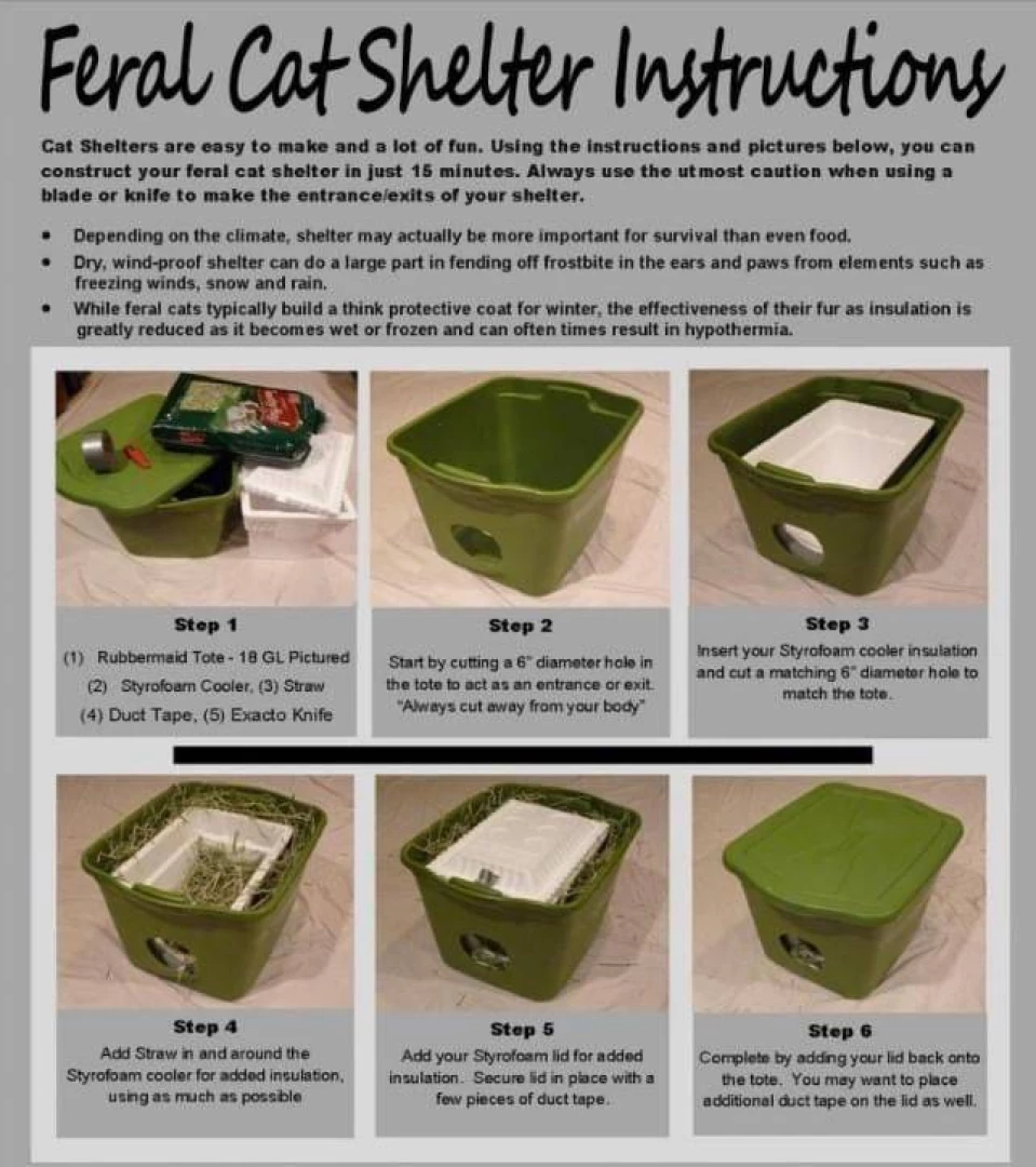 Little sfw reminder since it s cold out - knock on your car hood and 