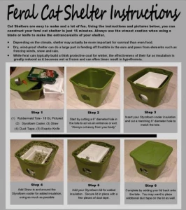 Little sfw reminder since it s cold out - knock on your car hood and