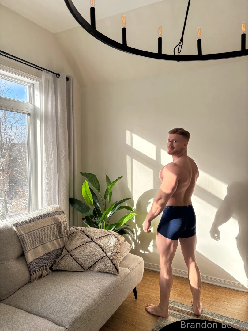 Sunny winter day part 2 