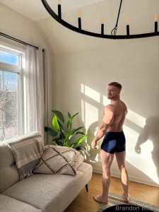 Sunny winter day part 2