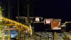 We just found the cutest hotel with tree houses surrounding by forest part 3