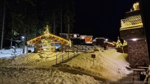 We just found the cutest hotel with tree houses surrounding by forest part 1