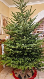 I bet you thought there is no first time with me there is nothing left part 1