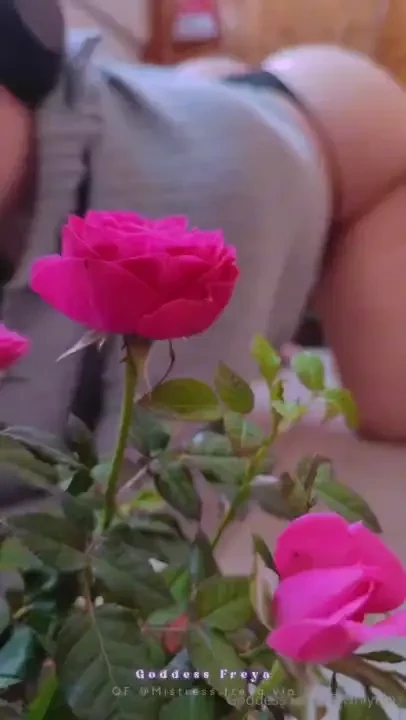 Giant fairy pov - you re a tiny little bug hiding behind a plant 