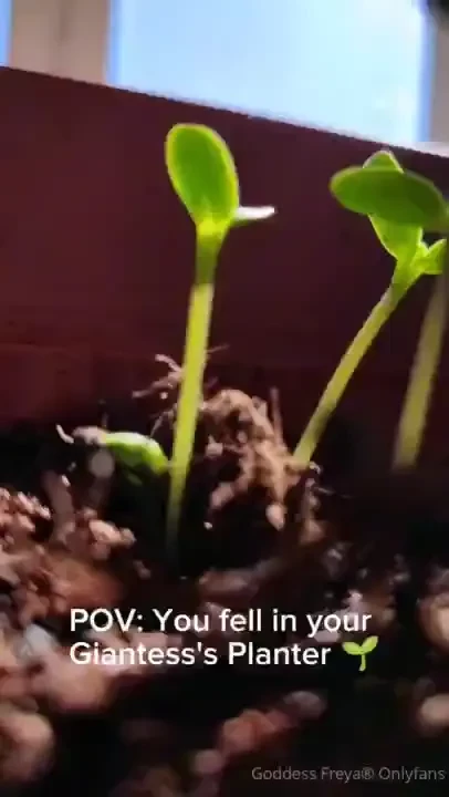 Giantess pov tiny watching me garden in my thong amp topless until you part 1 