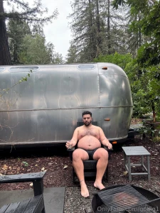 Fat bear in the woods