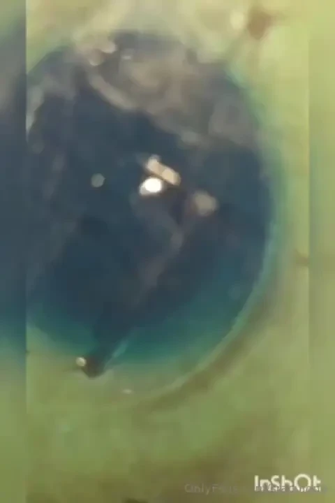 Les gusta as mi culito part 1 