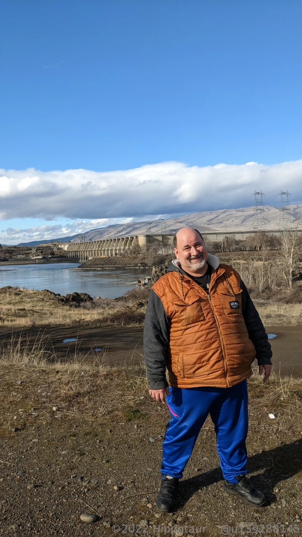 Bald eagle watching at the dalles 
